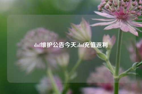 dnf维护公告今天,dnf充值返利