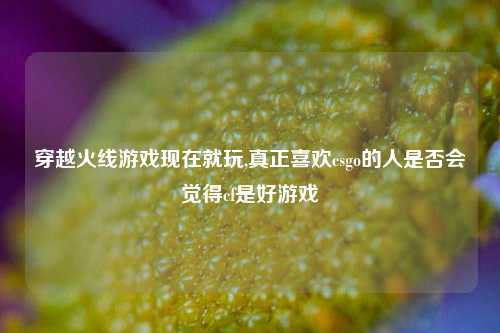 穿越火线游戏现在就玩,真正喜欢csgo的人是否会觉得cf是好游戏