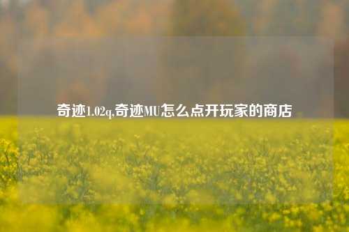 奇迹1.02q,奇迹MU怎么点开玩家的商店