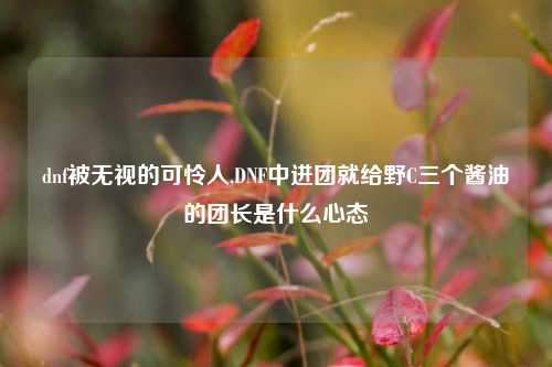 dnf被无视的可怜人,DNF中进团就给野C三个酱油的团长是什么心态