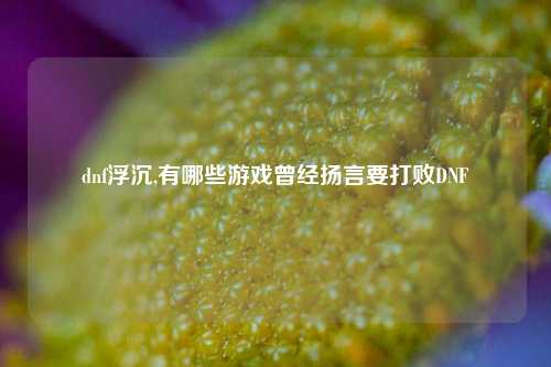 dnf浮沉,有哪些游戏曾经扬言要打败DNF