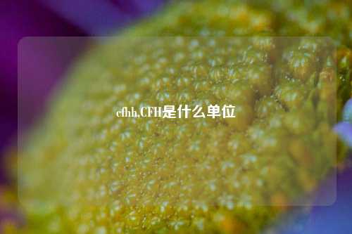 cfhh,CFH是什么单位