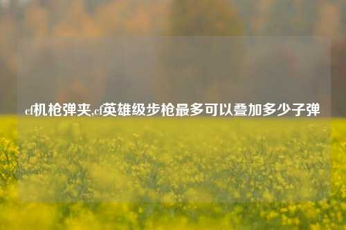 cf机枪弹夹,cf英雄级步枪最多可以叠加多少子弹
