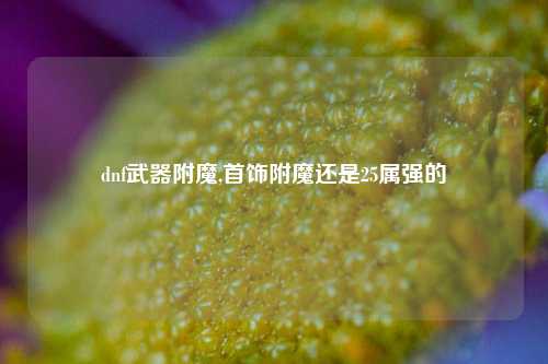 dnf武器附魔,首饰附魔还是25属强的