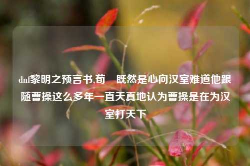 dnf黎明之预言书,荀彧既然是心向汉室难道他跟随曹操这么多年一直天真地认为曹操是在为汉室打天下