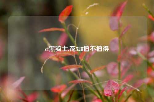 cf黑骑士,花328值不值得