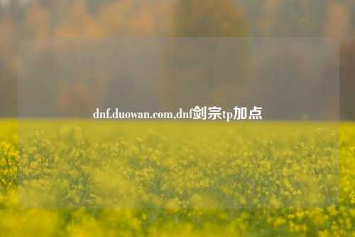 dnf.duowan.com,dnf剑宗tp加点