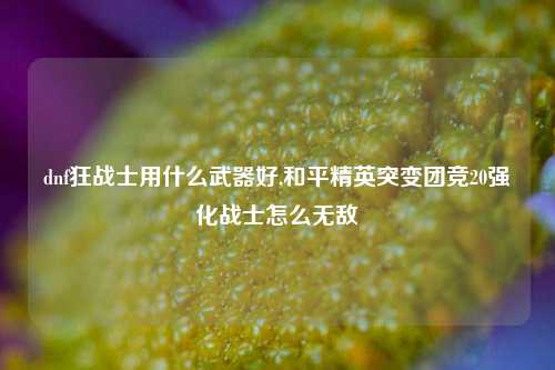 dnf狂战士用什么武器好,和平精英突变团竞20强化战士怎么无敌