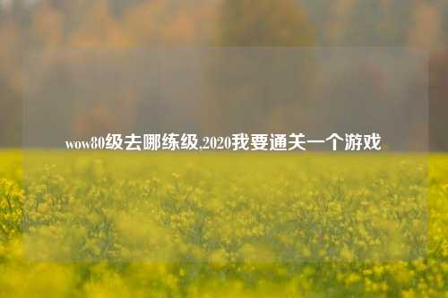 wow80级去哪练级,2020我要通关一个游戏
