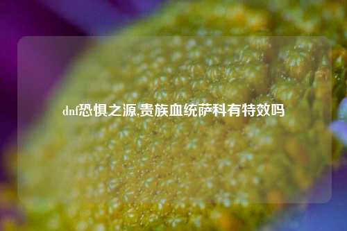 dnf恐惧之源,贵族血统萨科有特效吗