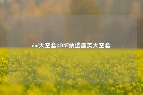 dnf天空套3,DNF票选最美天空套