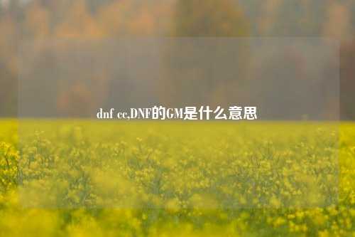 dnf cc,DNF的GM是什么意思