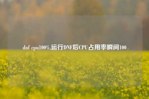 dnf cpu100%,运行DNF后CPU占用率瞬间100
