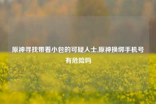 原神寻找带着小包的可疑人士,原神换绑手机号有危险吗