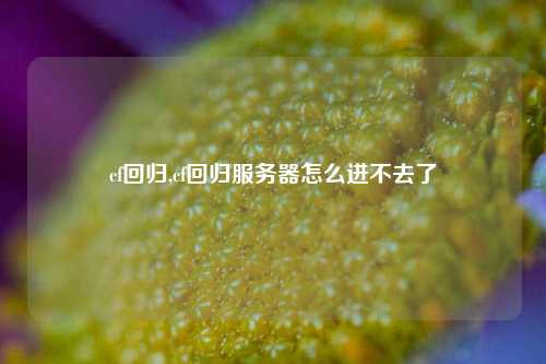 cf回归,cf回归服务器怎么进不去了