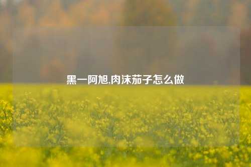 黑一阿旭,肉沫茄子怎么做