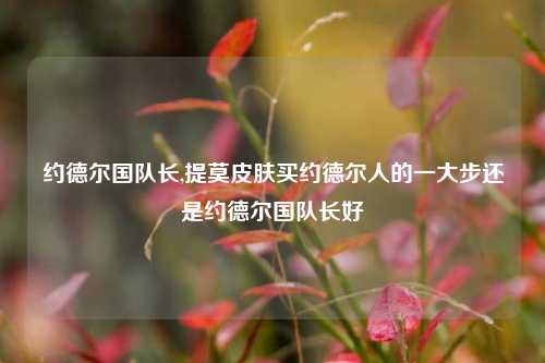 约德尔国队长,提莫皮肤买约德尔人的一大步还是约德尔国队长好