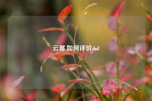 云幂,如何评价dnf