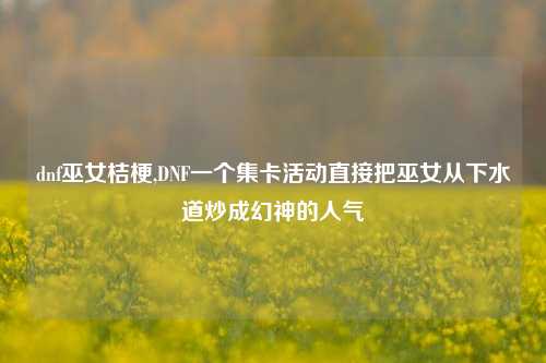 dnf巫女桔梗,DNF一个集卡活动直接把巫女从下水道炒成幻神的人气