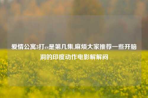爱情公寓3打cs是第几集,麻烦大家推荐一些开脑洞的印度动作电影解解闷