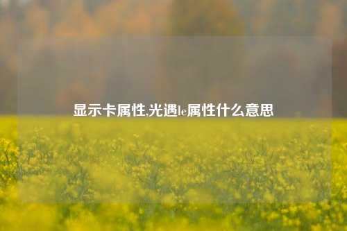 显示卡属性,光遇le属性什么意思