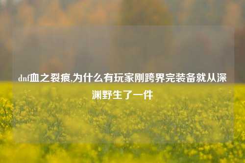 dnf血之裂痕,为什么有玩家刚跨界完装备就从深渊野生了一件