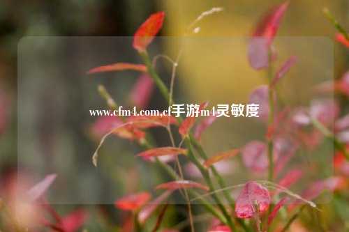 www.cfm4.com,cf手游m4灵敏度