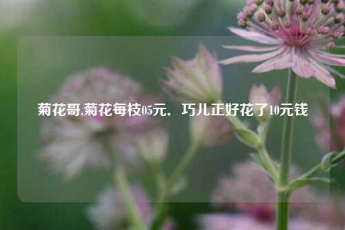 菊花哥,菊花每枝05元．巧儿正好花了10元钱