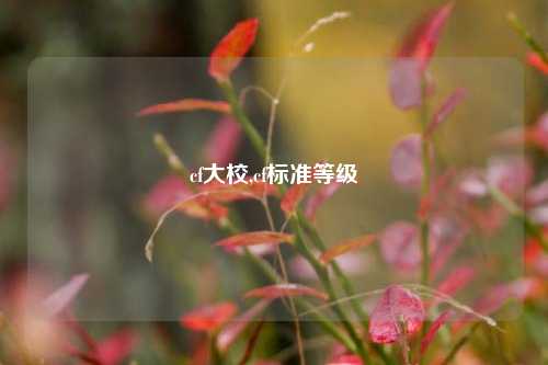 cf大校,cf标准等级