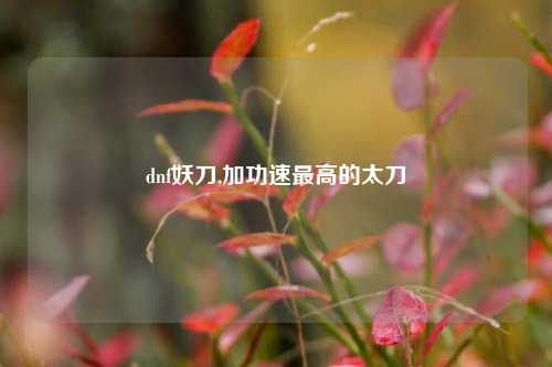 dnf妖刀,加功速最高的太刀