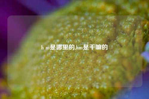 h m是哪里的,hm是干嘛的