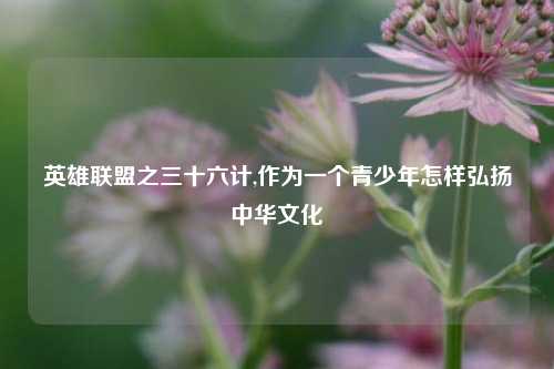 英雄联盟之三十六计,作为一个青少年怎样弘扬中华文化
