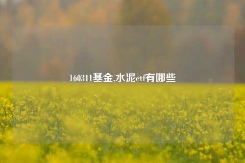 160311基金,水泥etf有哪些