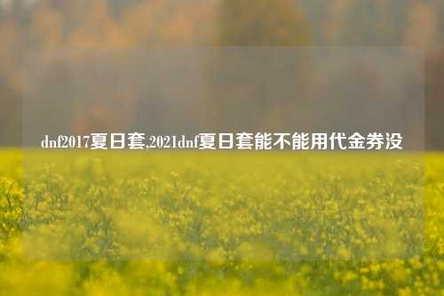 dnf2017夏日套,2021dnf夏日套能不能用代金券没