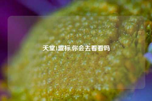天堂1盟标,你会去看看吗