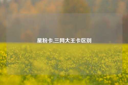 星粉卡,三网大王卡区别