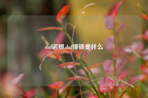 dnf诺顿,dnf绿锁是什么