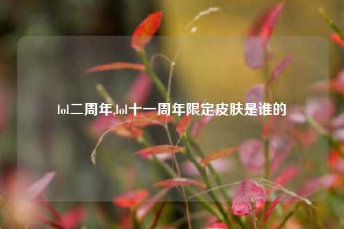 lol二周年,lol十一周年限定皮肤是谁的