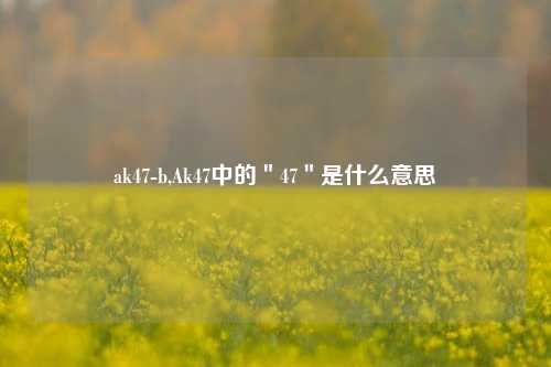 ak47-b,Ak47中的＂47＂是什么意思