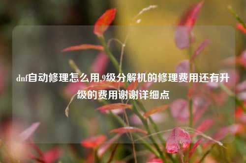 dnf自动修理怎么用,9级分解机的修理费用还有升级的费用谢谢详细点