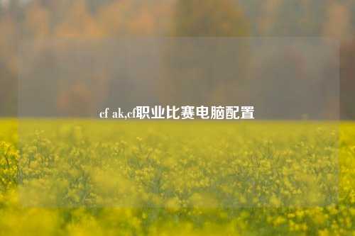 cf ak,cf职业比赛电脑配置