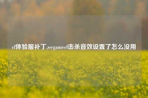 cf体验服补丁,wegamecf击杀音效设置了怎么没用