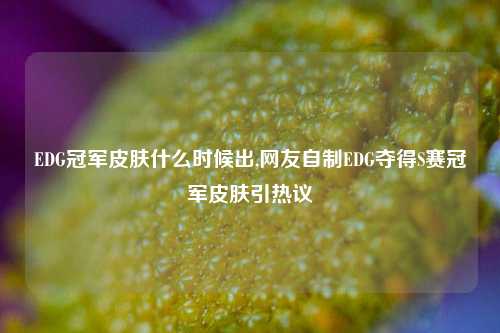 EDG冠军皮肤什么时候出,网友自制EDG夺得S赛冠军皮肤引热议