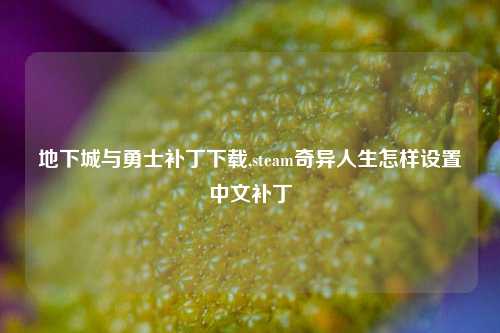 地下城与勇士补丁下载,steam奇异人生怎样设置中文补丁