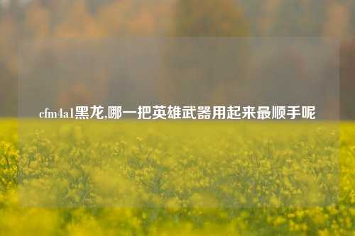 cfm4a1黑龙,哪一把英雄武器用起来最顺手呢