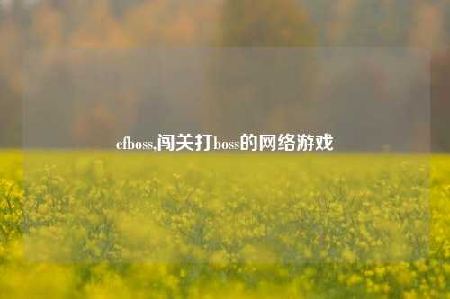 cfboss,闯关打boss的网络游戏