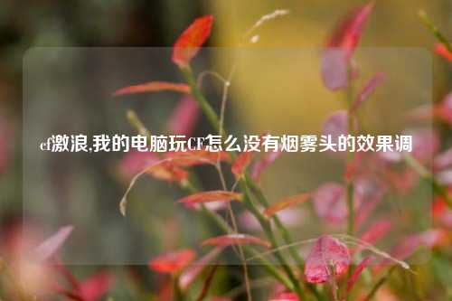 cf激浪,我的电脑玩CF怎么没有烟雾头的效果调