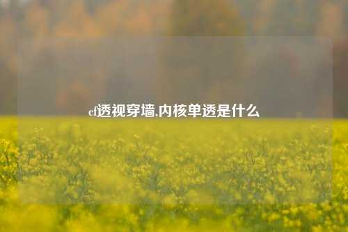cf透视穿墙,内核单透是什么