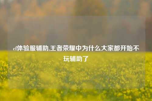 cf体验服辅助,王者荣耀中为什么大家都开始不玩辅助了