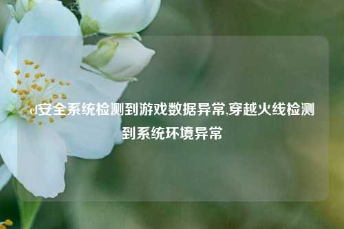 cf安全系统检测到游戏数据异常,穿越火线检测到系统环境异常